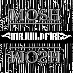 Mr. WildFire - Mosh