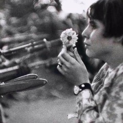 In Times Of War, Flowers Are Born