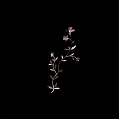 Lil Peep - Heaven Im Coming Home