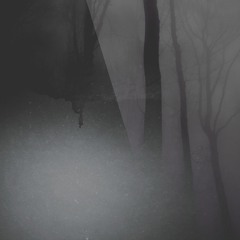 Tenderly, She Carries Them