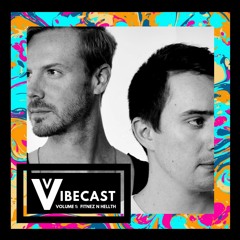 VIBECAST VOLUME 1: FITNEZ N HELLTH