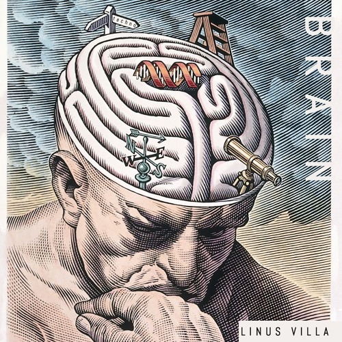 Brain