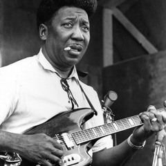 Muddy Waters "i'm your hoochie coochie man"