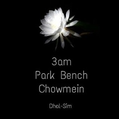 3am Park Bench Chow Mein