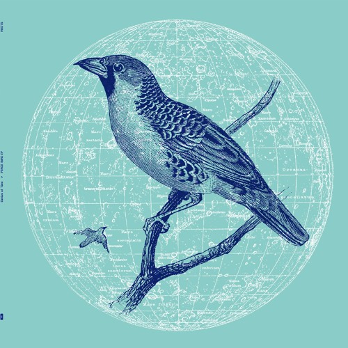 Genius Of Time  - Peace Bird (RB075)