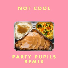Not Cool (Party Pupils Remix)