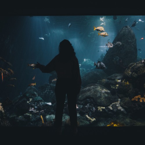 JORRDEE Ft. Bu$hi - Lala