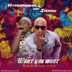HypeMarshall ft X Pensive - What You Want (Mixed By PiDo)