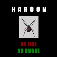 Haroon (feat Hanz) - Clean Break