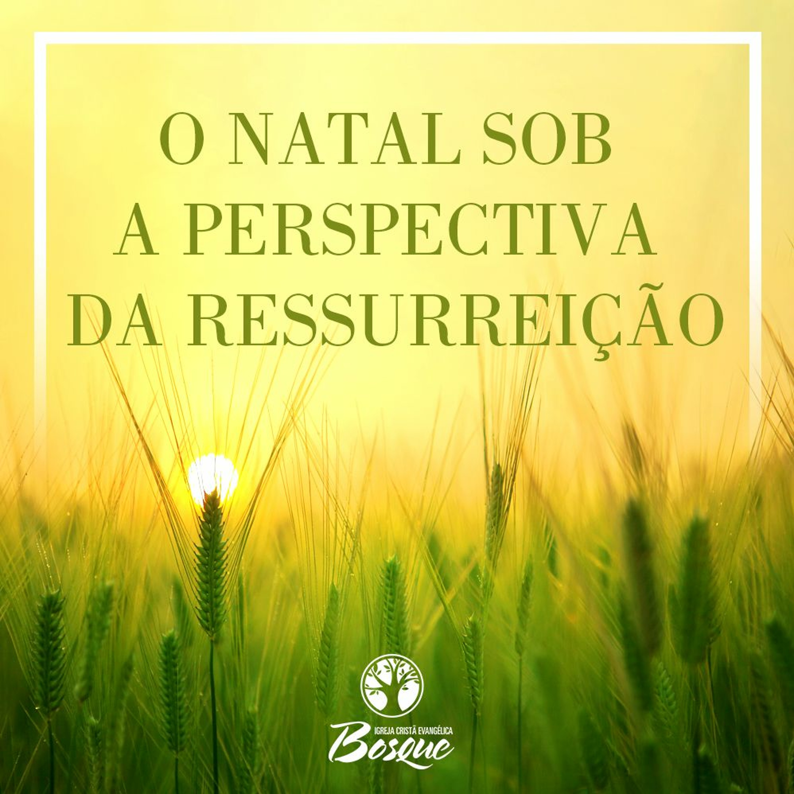 Igreja Cristã Evangélica – Bosque dos Eucaliptos