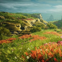 The Tiffmoor Bluffs
