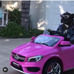 elliot tommy ren tomas jam