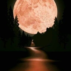 Alex Spite - Forgive (Original Mix)