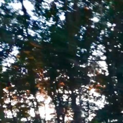 things just don't feel like they used to (demo)