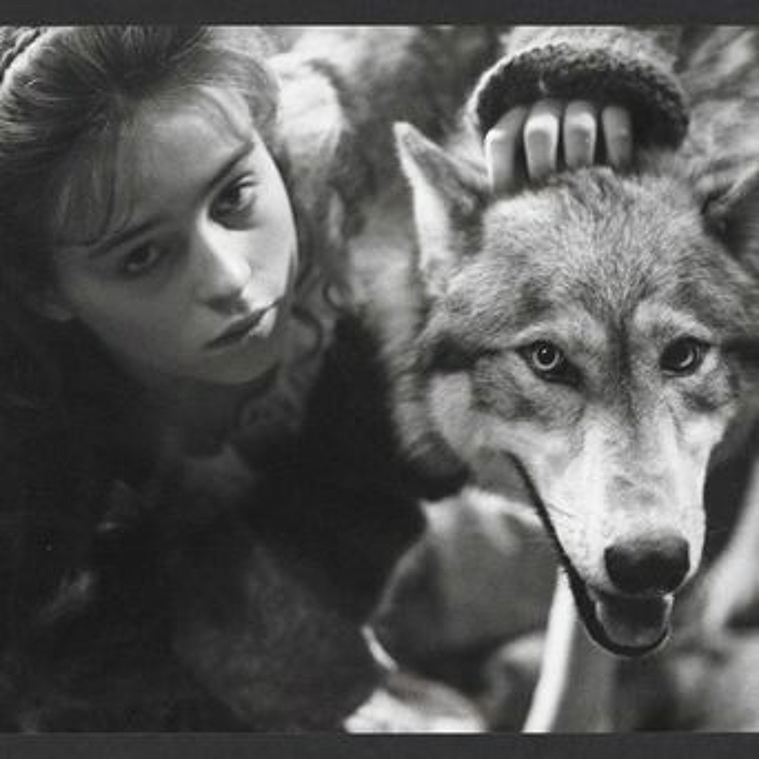 THE COMPANY OF WOLVES