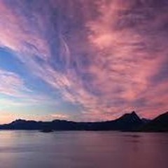 towards the light -jacoo