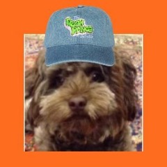 The Fresh Chef Of Bel-Stralia