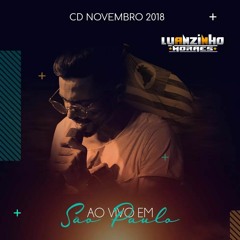 Vizinho - Luanzinho & Unha Pintada