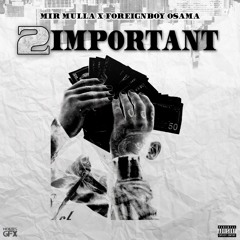Mir Mulla feat. Foreignboy Osama - 2 Important