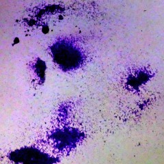 Trip(160 Flip Juke Nukem)