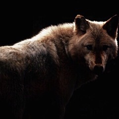 A week ago (no lacking)