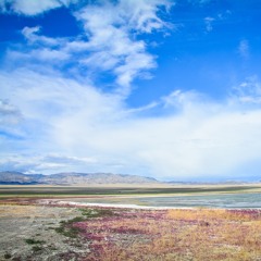 Magnificent Mongolia