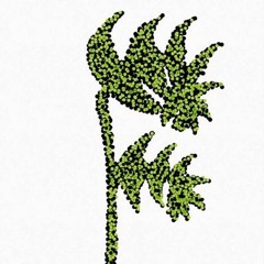 The Fern Podcast Ep. 026: Championship weekend review w/ Noah Hiemer