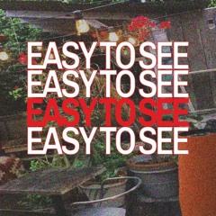Easy To See