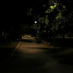 DOCE DE LA NOCHE (J David Ojeda)