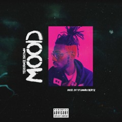 SWAMPLIFETERRY - MOOD