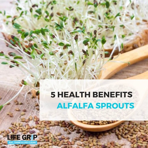 Stream 5 Health Benefits of Alfalfa from Adam Phillips, Founder Life