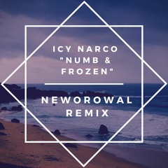 Icy Narco - Numb & Frozen (neworowal Remix)