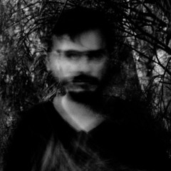 Rainbow - January 2019