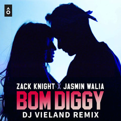 Zack Knight X Jasmin Walia - Bom Diggy (DJ Vieland Remix)