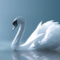 Blue Swan [Prod by Fat Cat]