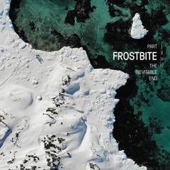 MALMØ: Frostbite