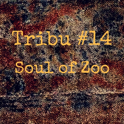 TRIBU #14 - Ben Eager (Soul Of Zoo)