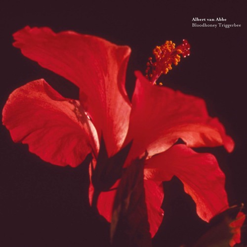 A1 Albert Van Abbe - Bloodhoney Triggerbee