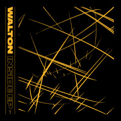 First Listen: Walton - 'Inside' (Tectonic Recordings)