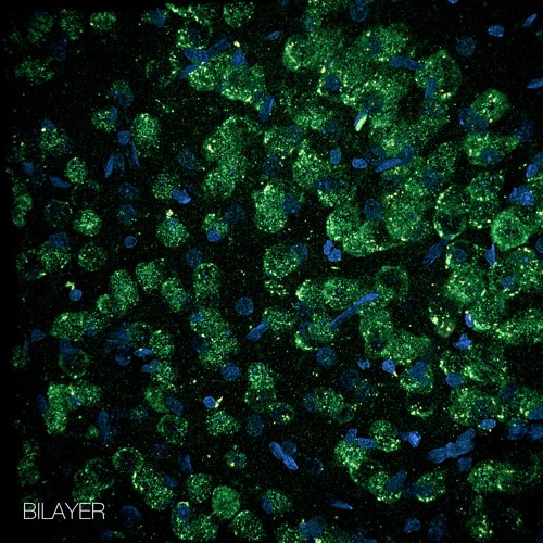 Stream Bilayer Nystagmus By Va Fongool Listen Online For Free On how-to-talk-with-your-hands-60-italian-hand-gestures-inevitaly