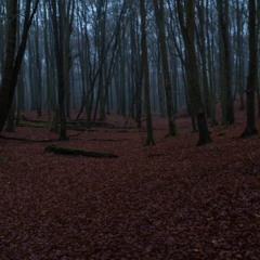 Music for a virtual museum, the third nature