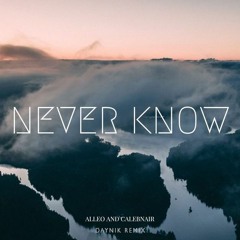 Alleo & Caleb Nair - Never Know (Daynik Remix)