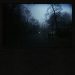 American Pleasure Club - dragged around the lawn