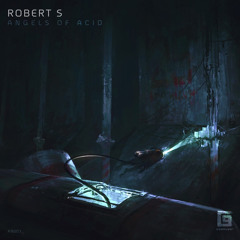 PREMIERE | Robert S - Angels Of Acid