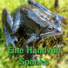 Eine Handvoll Spanks - Ein Frosch fährt Fahrstuhl