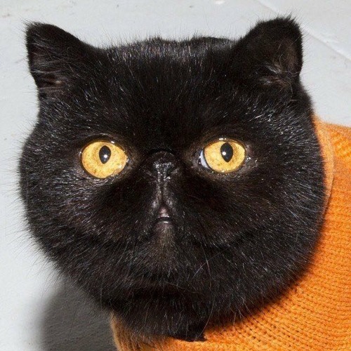 dublab Session 18th. January 2019