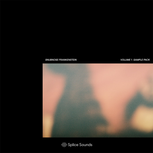 Snubnose Frankenstein + Splice Sounds - Evelyn (demo)