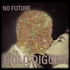 Gold Digger - Instumental Version