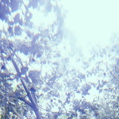 Brücken verbrennen (DEMO)