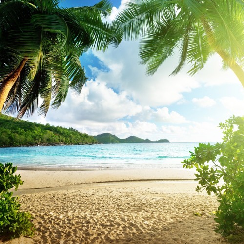 When Trance Ruled The World VII 'Paradise'